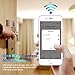 Mini Wi-Fi Smart Plug Works with Alexa Google Home and IFTTT, No Hub Required, Smart Socket with Timer Function, FCC ROHS Listed (1 Pack)