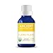 Ylang Ylang Organic Essential Oil from Ancient Apothecary, 15 mL - 100% Pure and Therapeutic Grade