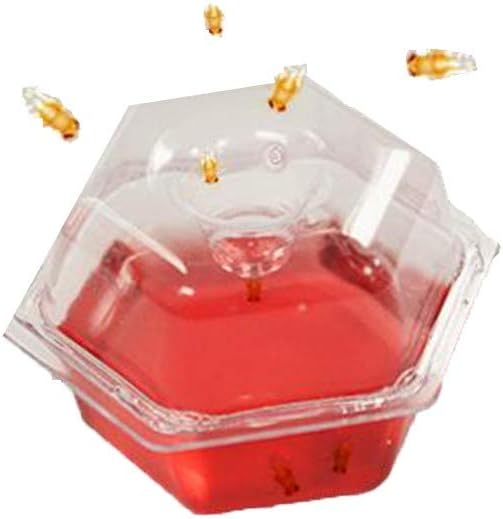 BEAPCO 10036 Prefilled Fruit Fly Traps, 6-Pack, Red : Home Pest Control Traps : Garden & Outdoor