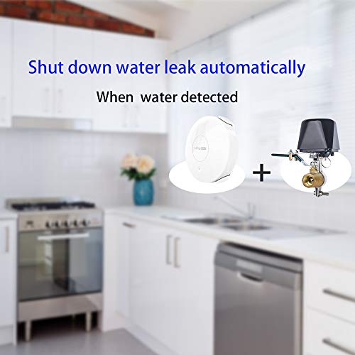 Haozee WiFi Smart Water Valve Shutoff Tuya App Smart Home Automation Control Valve for Gas Work with Alexa Google Assistant IFTTT