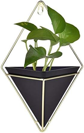 Blessvt Succulent Plant Wall Mounted Flower Pot Container Iron Triangular Vase Flower Pot Simple Planter Set Without Plants Included(No plants)