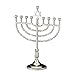 Rite Lite Large Traditional Menorah - Silvertone Finish 8.75