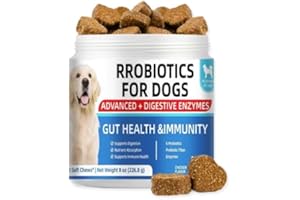 Dog Probiotic Chews with Prebiotics & Digestive Enzymes - Gut Health Support for Dogs - Helps Skin & Immune System Function -