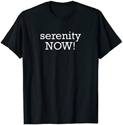 Mens Serenity NOW! Funny Recovery Alcoholics Anonymous AA T-Shirt 3XL Black