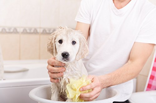 PET CARE Sciences Puppy Shampoo Gentle Sensitive Tearless Coconut Oil, Oatmeal, Aloe & Palm