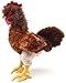 VIAHART Ranger The Rooster - 19 Inch Stuffed Animal Plush - by Tiger Tale Toys