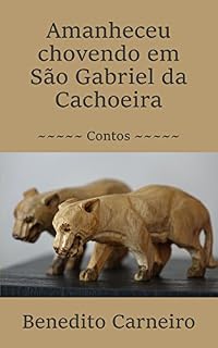Livro Amanheceu chovendo em São Gabriel da Cachoeira: Contos