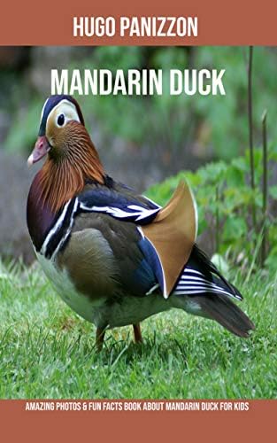Mandarin Duck: Amazing Photos & Fun Facts Book About Mandarin Duck For Kids Kindle Edition
