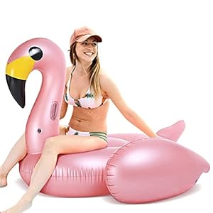 FUNOVA Flamenco Hinchable colchonetas Flotador Gigante Piscina