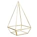 HOMEIDEAS Modern Terrarium Clear Glass Pyramid Tabletop Geometric Polyhedron Box,Decorative Succulent Plants Holder(Golden)