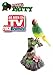 Electronic Talking Repeating Parrot Parakeet Bird primary