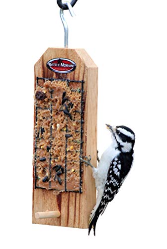 Amazon Com Kettle Moraine Peanut Butter Bird Feeder With Perch