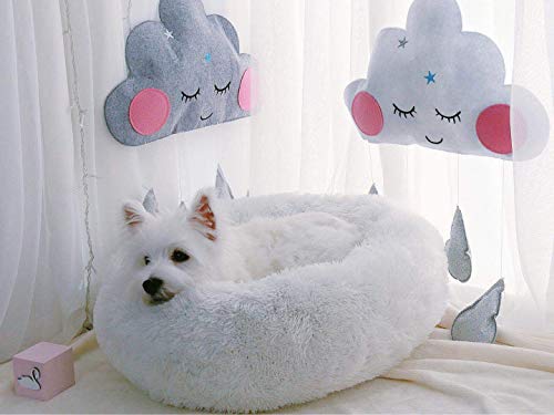 WonderKathy Modern Soft Plush Round Pet Bed for Cats or Small Dogs, Mini Medium Sized Dog Cat Bed Self Warming Autumn Winter Indoor Snooze Sleeping Cozy Kitty Teddy Kennel (M(23.6"Dx7.9"H), White)