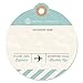 Big Dot of Happiness World Awaits - Travel Themed Party Favor Gift Tags (Set 20)