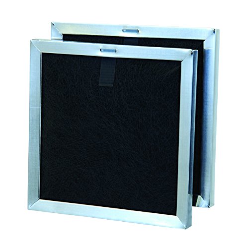 Holmes Odor Grabber Filter, Double Pack, AAPF115D-U4