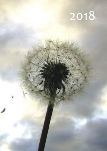 MY BIG FAT CALENDAR 2018 (Great Britain) - blowball / dandelion: 1 day per page, DIN A4