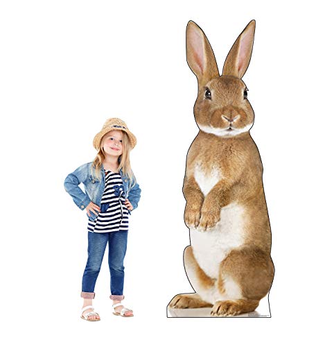 Advanced Graphics Bunny Rabbit Life Size Cardboard Cutout Standup - Thumbnail 3