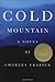 Cold Mountain: A Novel
