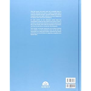 Diagnóstico ecográfico en el gato