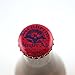 Blenheim Ginger Ale 12oz Bottle - Hot Flavor