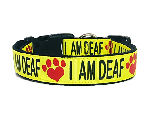 collar for deaf dogs