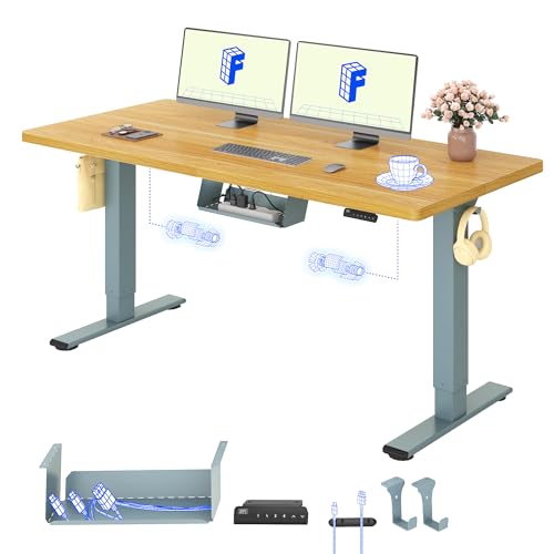 FLEXISPOT Höhenverstellbarer Schreibtisch elektrisch, Doppelmotor 160x80 cm