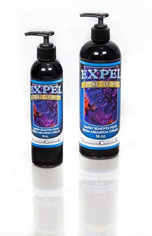 Expel Coral Cleanse Dip 16 oz Vibrant