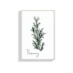 Framed Canvas Wall Art for Living Room, Bedroom Rosemary Canvas Prints for Home Decoration Ready to Hang - 16x24 inches