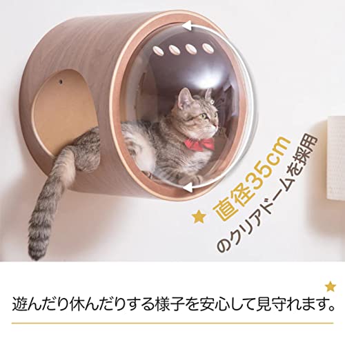 MYZOO Spaceship Gamma, Pet Bed for Cat & Dog, Window Perch, Cat Tree