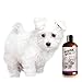 Sofee & Co. Natural Oatmeal Dog Puppy Shampoo - Clean Moisturize Soothe Soften Norma, Dry Itchy Allergy Sensitive Skin. Deodorize and Detangle 16 oz (Lavender & Mint)