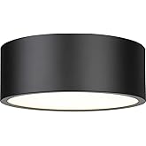 Z-Lite 3 Light Flush Mount 2302F3-MB