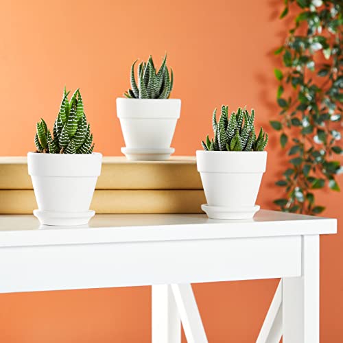 12 Pack Mini Terracotta Pots with Saucers for Succulents, Plants