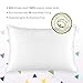 Babebay Toddler Pillow with Pillowcase,2 Pack 13 x 18 Inches Toddler Bedding Small Pillow with Soft Organic Cotton Cover for Unisex Kids Sleeping