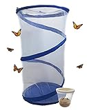 The Lady.... Live Painted Lady Butterfly Habitat - Caterpillars and Hanging Net!