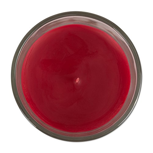 Home Traditions Single Wick Evenly Burning Highly Scented Jar Candle