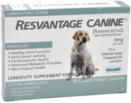 low sodium chicken broth for dogs