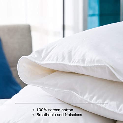 globon winter white goose down comforter