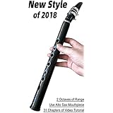 8-Hole LittleSax: New Style of 2018, Key C, Simple Mini Saxophone, Pocket Sax, Professional instruments for amateurs and professional performers.
