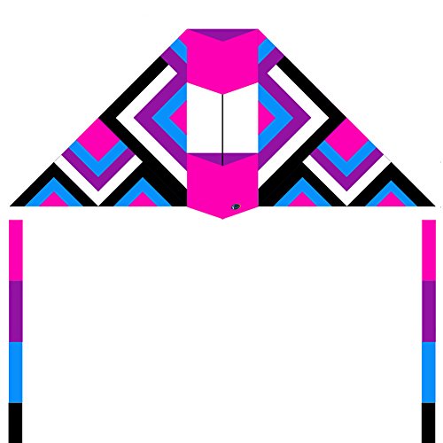 EMMAKITES 7.8ft Conyne Delta Kite The MAZE with Two 19ft Ribbon Tails Purple Dream – Stable, Easy to Fly