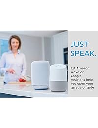 NEXX Garage NXG 100 NXG   Abrelatas de puerta con mando a distancia, control mediante teléfono inteligente, dispositivos habilitados para Alexa y  Assistant, NXG 100b