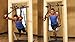 Gym1 Ultimate Fitness Package for a Full Body Workout (Core Frame, Suspension Straps, and Dvd)