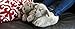 Happy Feet Slippers Gray Puppy Animal Slippers for Adults and Kids, Cozy and Comfortable, As Seen on Shark Tank (Medium)
