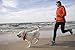Tuff Mutt Hands-Free Waist Leash for Dog Walking, Running and Hiking, Adjustable Belt with Double Handle, Reflective Bungee Design for Large & Medium Dogs