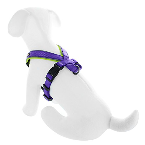 Pawtitas Pet Training Soft Adjustable Reflective Padded Puppy / Dog Harness Extra Extra Small Purple