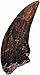 Geoworld Dino Claws Collection Toy (6 Piece)