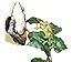 MagNaturals 37101 Jungle Vine Bridge