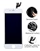 Screen Replacement for iPhone 6 Plus White 5.5