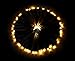 Esky Solar Fairy Lights Solar Lights Garden Solar LED String Lights Waterproof Solar Powered Fairy lights 100 LED 3 Modes 55ft 17m for Garden, Patio, Yard, Home, Wedding(Warm White)