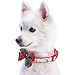 Blueberry Pet 4 Patterns Christmas Moments of Fantasy Embrace Nature Designer Adjustable Bowtie Dog Collar, Medium, Neck 14.5