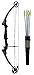 Genesis Original Compound Bow & Arrow Kit- Adjustable Riser, 15